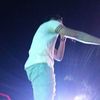 brian_bsn