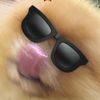 nnoeylet
