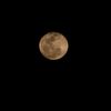 diwash_428