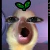 kdeyzzz8