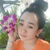 tran_215191