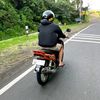 wayanaryp21
