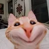 cheee_rxp