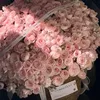 mimi.jp21