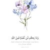 ayaa_na26