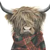 momomctavish
