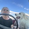toomanycritters