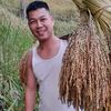 thayhong91