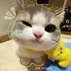 babyxinnhdep