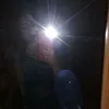 sifonigiulia