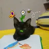 kimhue_761
