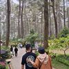 swijaya_putrabugis