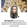 yen_nguyen996