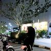 mocca88w