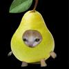 cat_pear