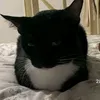 wez_zdupcaj