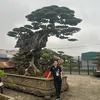 ongbovuive01