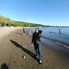 dina_2316