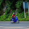 potae_pakin