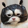 mumin_5389