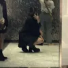 _.hdjdhd