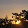 saraporweful