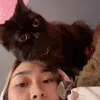 sheentooth