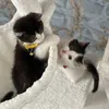 fluffy5581