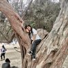 luulamadrid