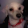 jordin_082811