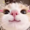 cutiesqueen1