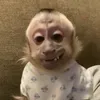 jjraines