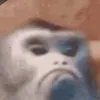 zlnvr