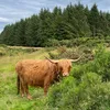 placesinscotland