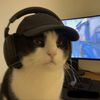 ice_pitchakorn