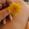 dandelionsncoffee