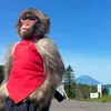 chiefkeefwantsbeef