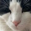 tatertot188