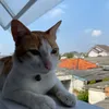 oyen_gs19