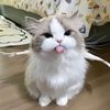 user46131371