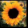 carolyn2492