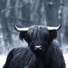 highlandcustomdesigns