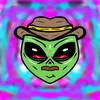 haydo_live