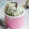 mintchoccochip