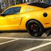 mr.mustang7