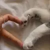tipham_xuafuong