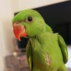 thelionofjuda_3