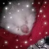 moni222__6