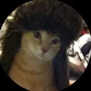 whattheflobdoin