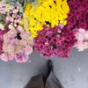 vlogs.by.z7